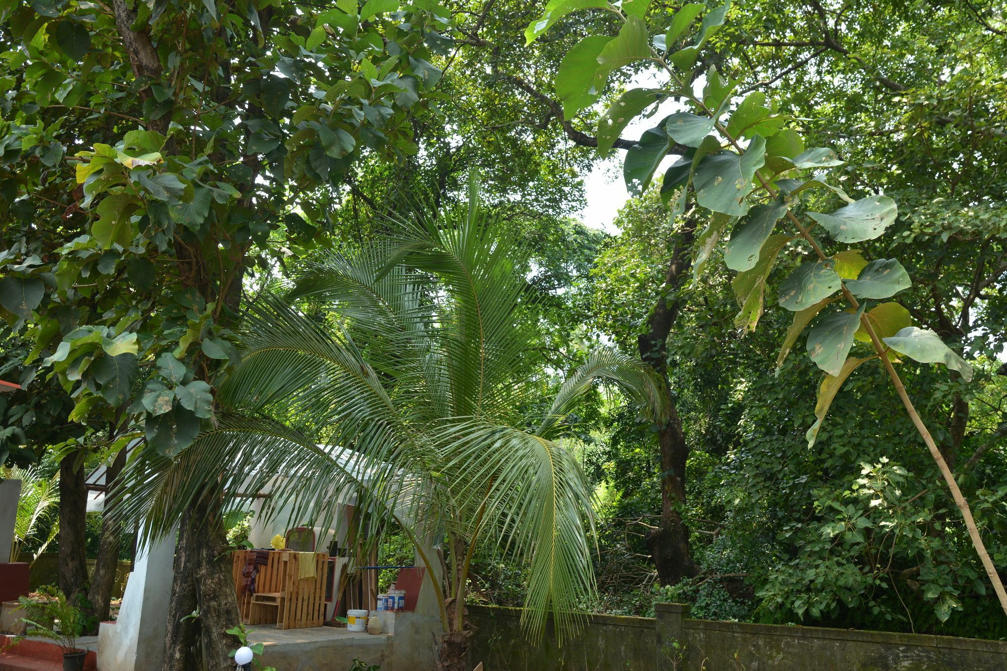 Folklore Hostel Goa Vagator Extérieur photo
